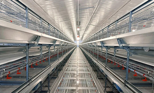 &iexcl;Equipo de crianza en su lugar! Little Giant ayuda a que la construcci&oacute;n de una moderna granja de ponedoras con capacidad para 2 millones de aves de Jiangxi entre en la v&iacute;a r&aacute;pida