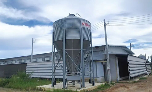 &iexcl;Potenciando la cr&iacute;a inteligente! &iexcl;Little Giant completa con &eacute;xito la capacitaci&oacute;n en control ambiental para el proyecto de ponedoras de 400.000 aves en Tailandia!&nbsp;