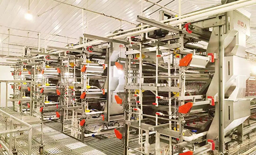 &iexcl;Fase I del proyecto Anhui completada! &iexcl;Little Giant ayuda al &aacute;rea local a lanzar un nuevo modelo de cr&iacute;a inteligente!