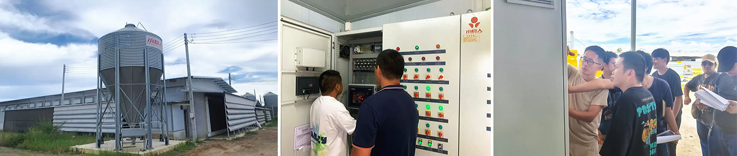 ¡Potenciando la cría inteligente! ¡Little Giant completa con éxito la capacitación en control ambiental para el proyecto de ponedoras de 400.000 aves en Tailandia!