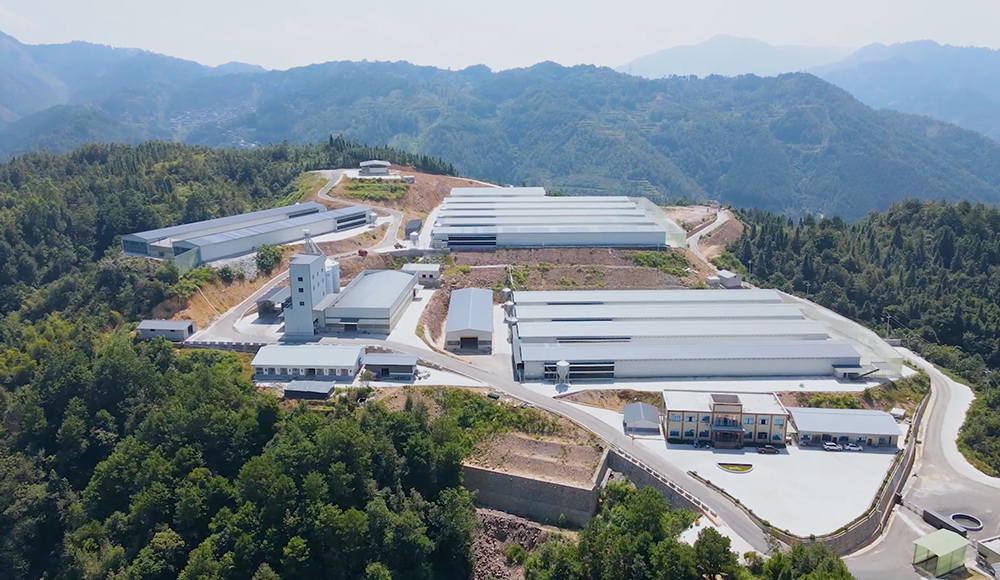 Proyecto 1 mill&oacute;n de ponedoras ecol&oacute;gicas de Guizhou