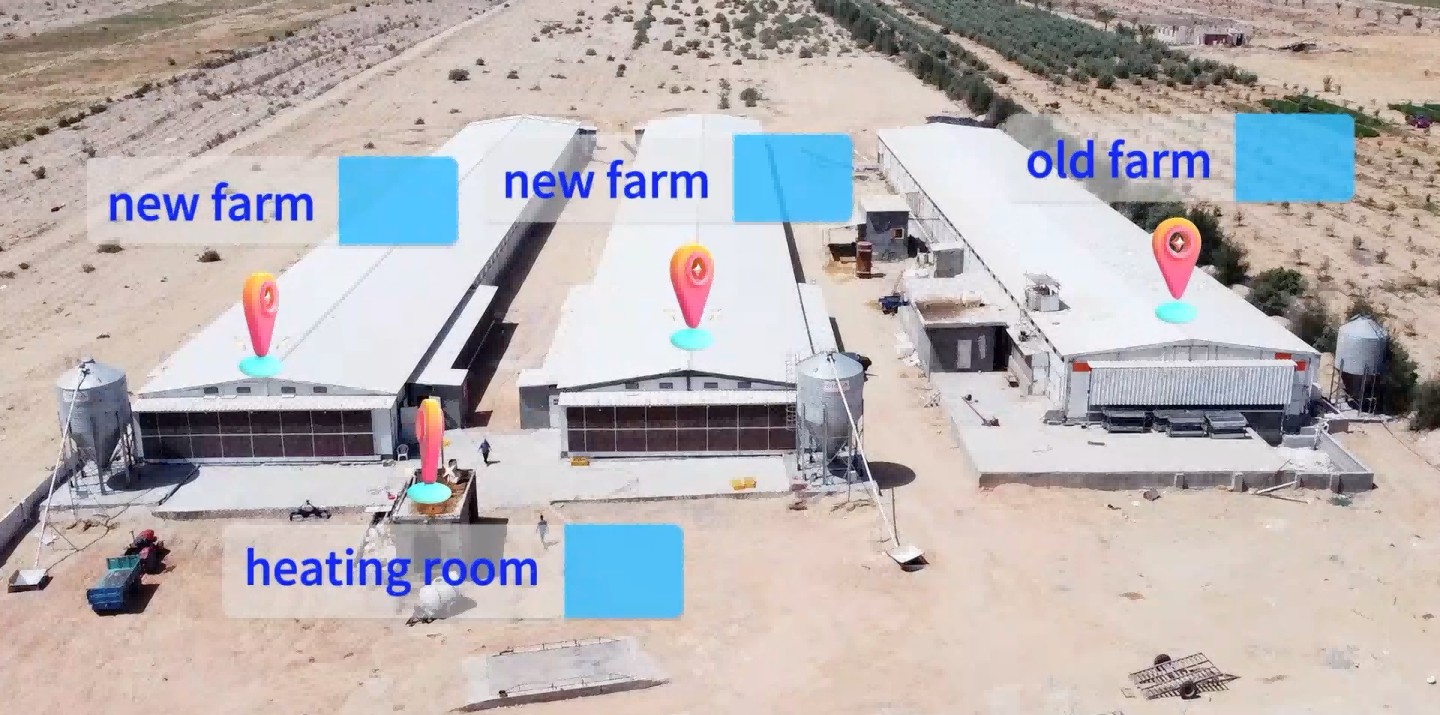 Un proyecto moderno de granja de pollos de engorde en Egipto