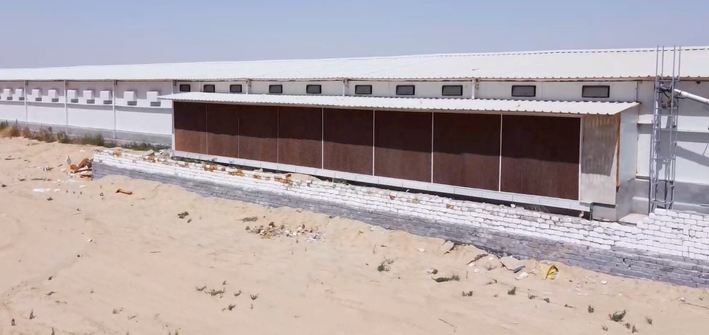 Un proyecto moderno de granja de pollos de engorde en Egipto