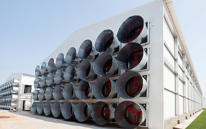 Ventilador cil&iacute;ndrico de recolecci&oacute;n de viento de alta presi&oacute;n negativa y ahorro de energ&iacute;a