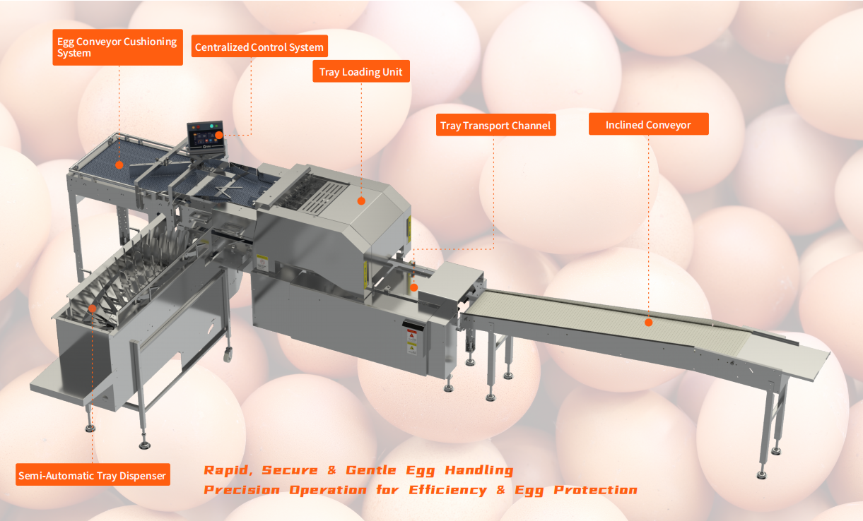 Sistema automático de embalaje de bandejas de huevos serie BFP