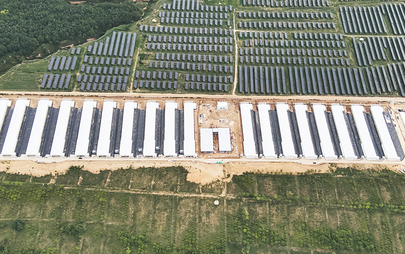 Proyecto Shanxi 1 mill&oacute;n de ponedoras de 5 hileras y 12 niveles