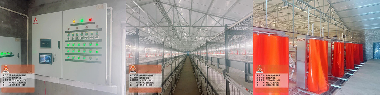 Little Giant permite que el proyecto del parque de demostración de cría de pollos de engorde moderno de Lantian entre en producción