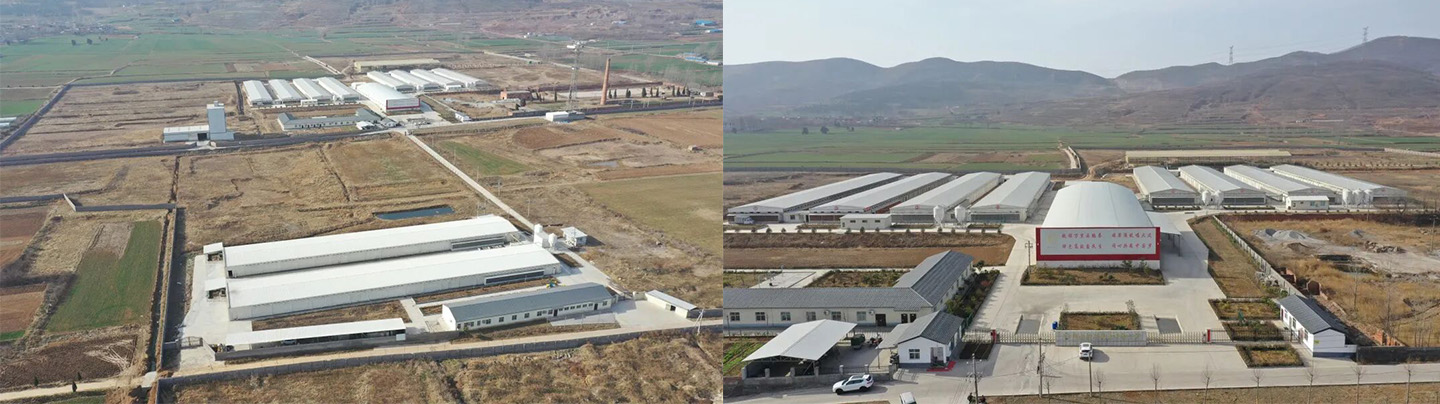 Little Giant ayuda a Hangshuo Animal Husbandry a construir una empresa agrícola digital líder en la provincia de Henan