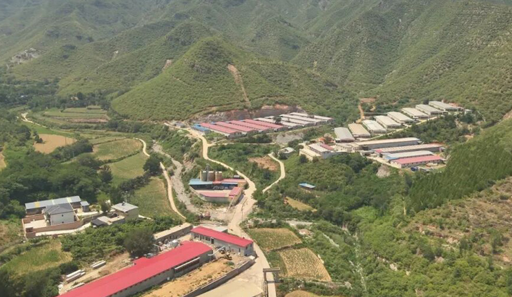 2024 Hebei Laying Hen Muestra del proyecto de jaulas de bienestar