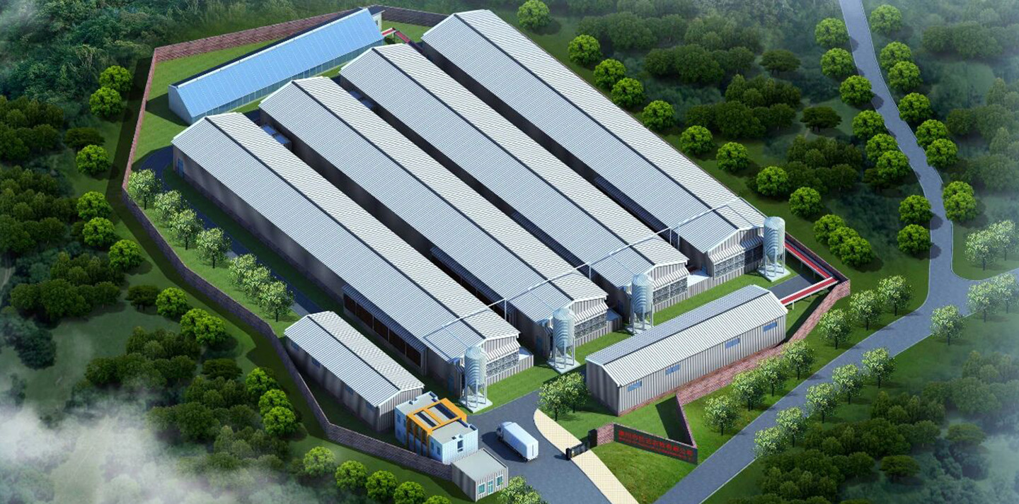 Pequeños regalos gigantes | Otro proyecto premium entregado en Fujian