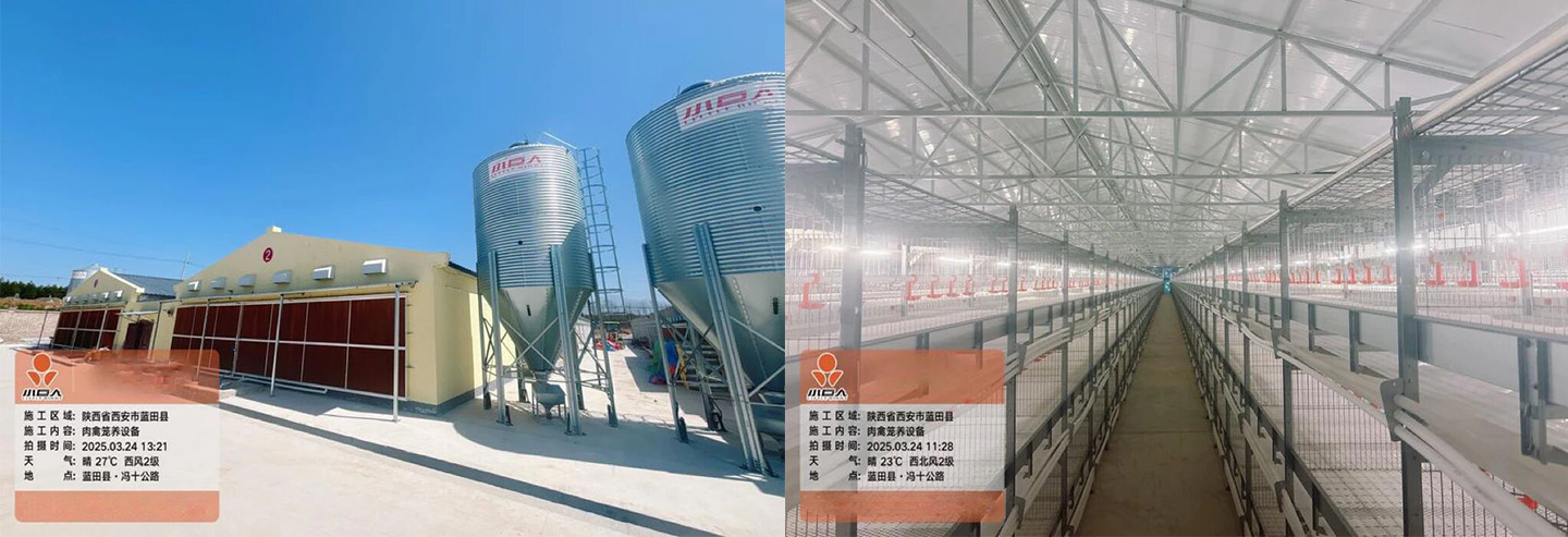 Little Giant permite que el proyecto del parque de demostración de cría de pollos de engorde moderno de Lantian entre en producción