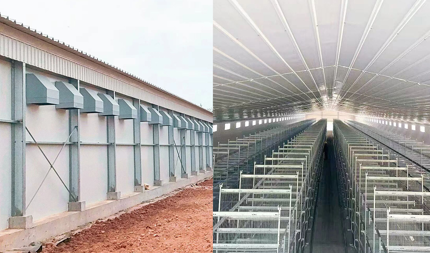 ¡8 gallineros con estructura de acero completamente terminados! Sea testigo del 