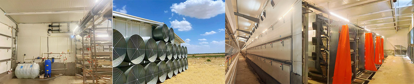 ¡Un nuevo modelo de cooperación China-Egipto! El pequeño gigante construye un moderno 