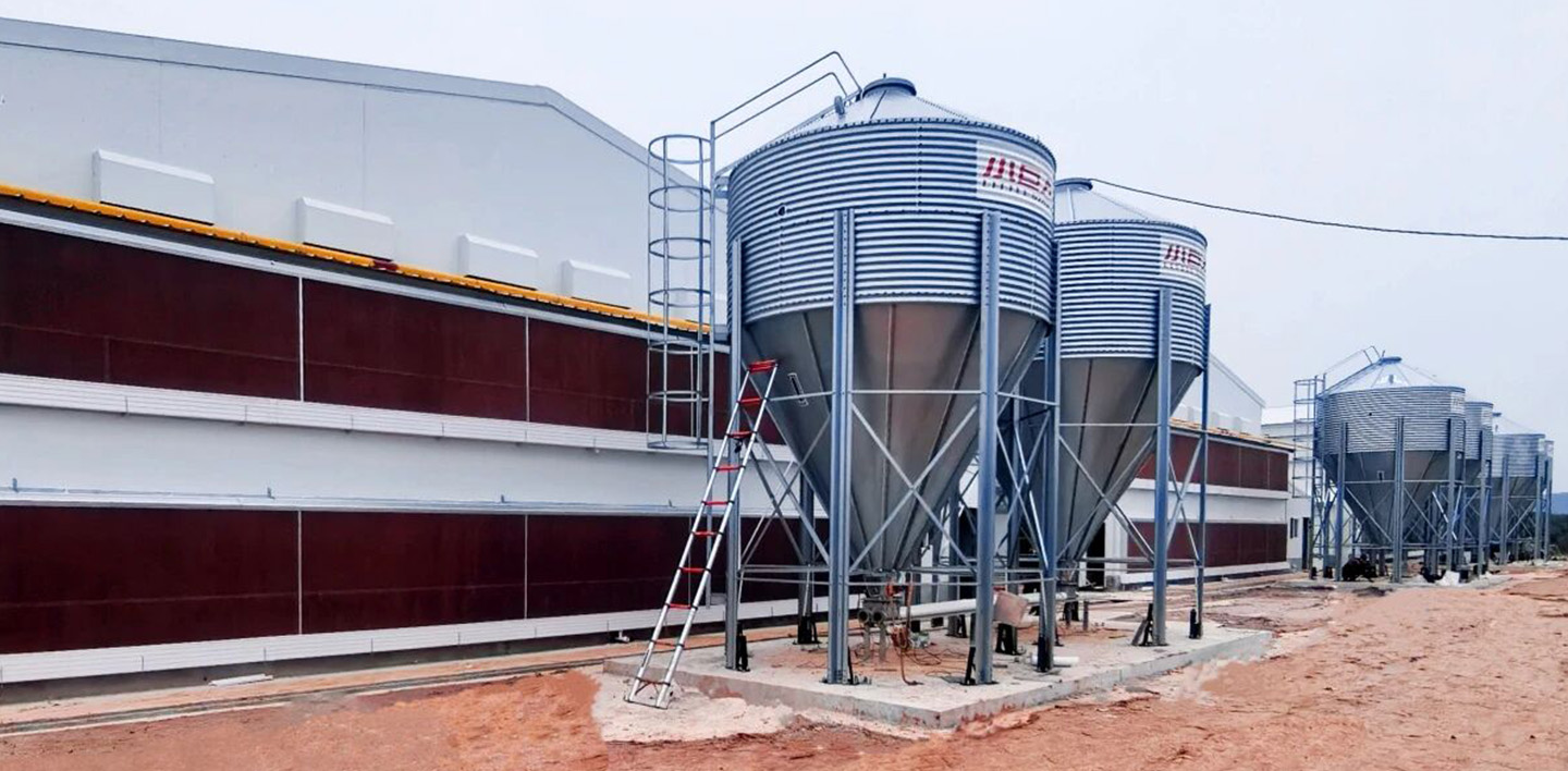 ¡Estructura de acero EPC completada! Gran hito logrado en la construcción de la casa de cría de Jia