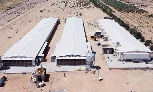 ¡Un nuevo modelo de cooperación China-Egipto! El pequeño gigante construye un moderno 