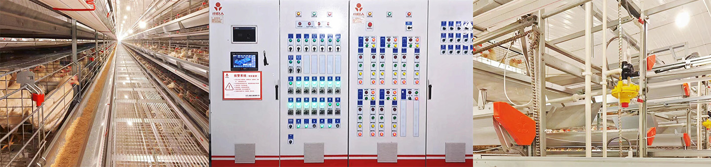 ¡Terminación exitosa! El equipo inteligente Little Giant potencia la agricultura moderna en Macheng, Huangg