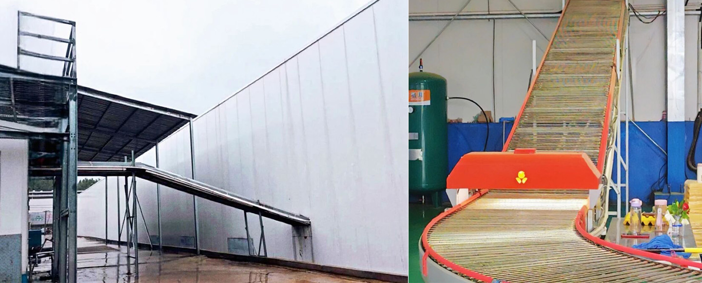 ¡Terminación exitosa! El equipo inteligente Little Giant potencia la agricultura moderna en Macheng, Huangg