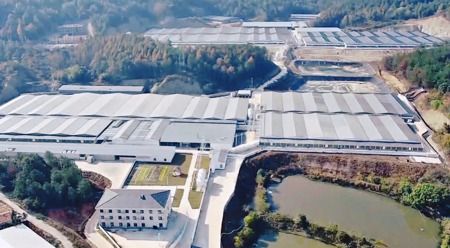 ¡Producción completa de una granja porcina moderna de 10.000 cabezas! Little Giant ayuda a construir un nuevo punto de referencia para lo moderno