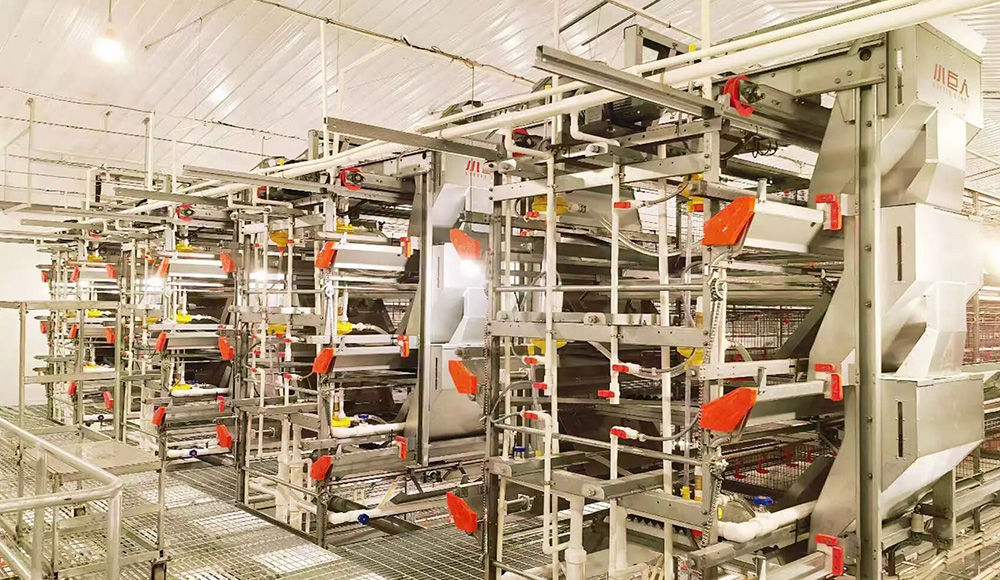 ¡Se completó con éxito la fase I del proyecto Anhui! Little Giant potencia la ganadería local inteligente hasta ahora