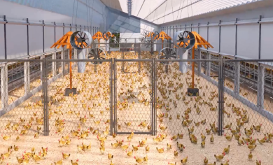 El sistema agr&iacute;cola de bienestar ecol&oacute;gico y bajo en carbono de Little Giant: desbloqueando un nuevo futuro para la producci&oacute;n de gallinas ponedoras.